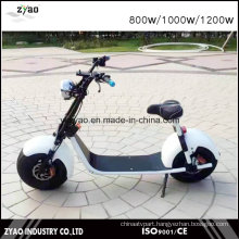 Newest 1000W/1500W Big Wheel Citycoco Electric Scooter for Adults 2 Wheels